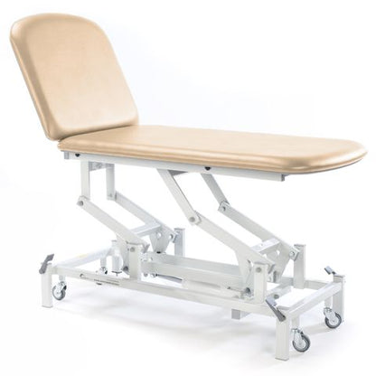 Seers - Medicare 2 Section Electric Couch with gas assisted backrest (RWD)