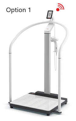 seca 655 - (HR+/US) - NEW Class III digital high capacity hand-rail scale with BMI & WiFi connectivity, user & patient ID on-screen verification and optional ultrasound height measure